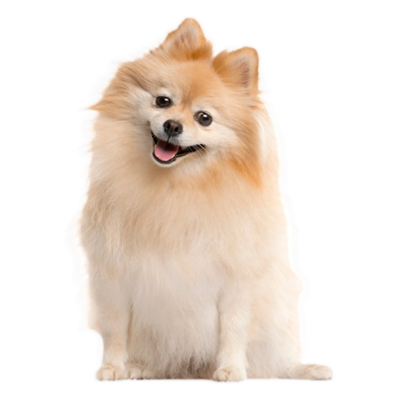 Pequeño