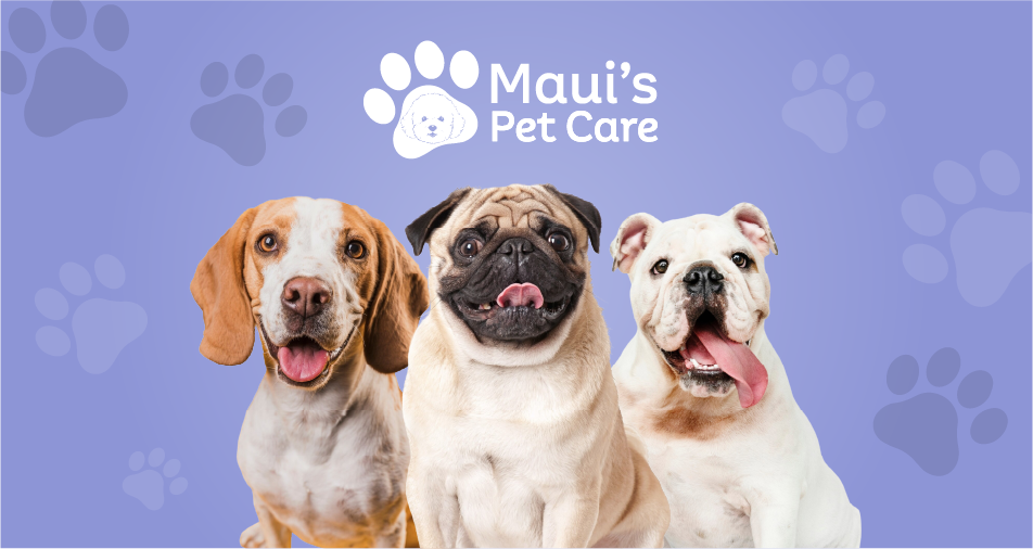 Header Maui's Pet Care