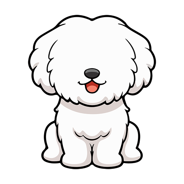 Bichon Frisé