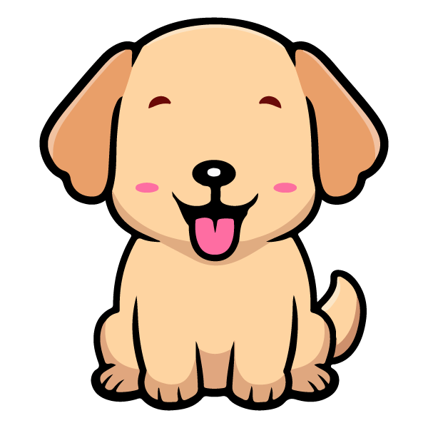 Bichon Frisé
