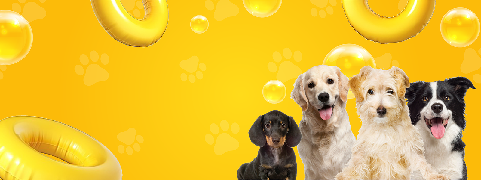 Dog grooming