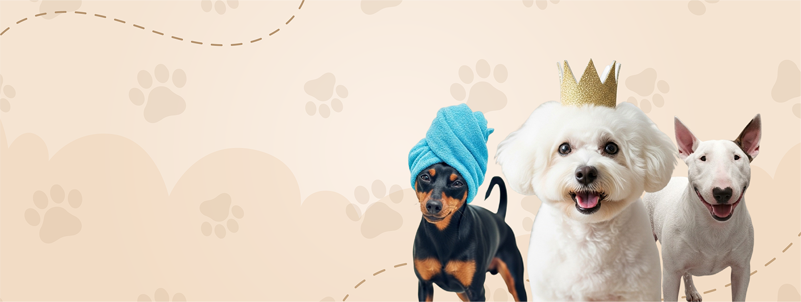 Pet care