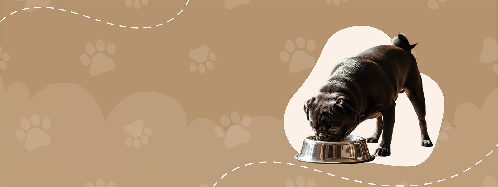 Dog food